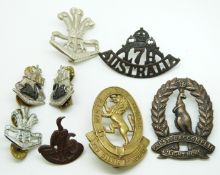 Eight Australian Army Light Horse metal badges for the 4th, 6th, 7th, 9th, 40th and Prince of