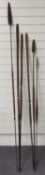 Six 19th/20thC tribal African double ended lion spears, length of longest 209cm