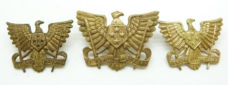 New Zealand Army 3rd Auckland Mounted Rifles other ranks metal cap and collar badges