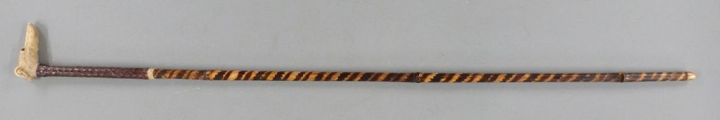 Bamboo swordstick with dogs head handle, snakeskin or similar grip and 55cm square blade