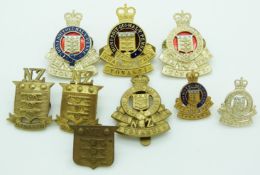 New Zealand Army Ordnance Corps metal and adonised hat and collar badges including enamelled