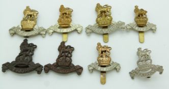 Eight Royal Army Pay Corps metal cap badges