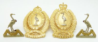 New Zealand Army 1st Canterbury Regiment officer's metal cap and collar badges