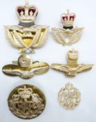 Six Royal Air Force anodised badges
