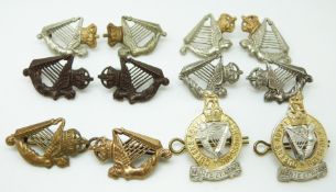 Twelve Royal Irish Cavalry regimental metal collar badges in six pairs, officer's service dress,