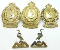 Five New Zealand Army 1st Canterbury Regiment metal cap and collar badges