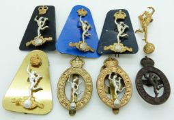 Eight British Army Royal Corps of Signal metal badges including an officer's bronze example, one