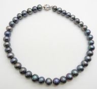 A single strand of Tahitian pearls with silver clasp, 42cm long