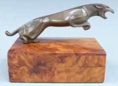 Jaguar car showroom or promotional bronze bottle opener formed as a leaping jaguar, the mouth to