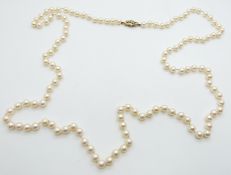 A single strand of cultured pearls with 9ct gold clasp set with pearls, 96cm long