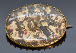Victorian yellow metal brooch set with an oval agate section, 2.7 x 3.6cm