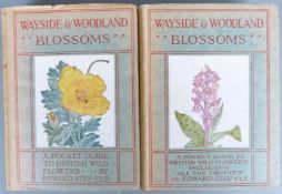 [Wayside & Woodland series] The Birds of The British Isles & Their Eggs, Migration & Habits 3