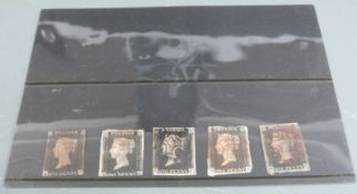 Five penny blacks in varying condition