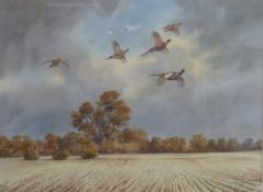 Robert W Milliken (1920-2014) watercolour landscape with pheasants in flight, signed lower right, 54