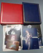 A collection of photographs of Bob Dylan, mostly 1980s