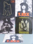 T.Rex - Electric Warrior (HIFLY6) record appears Ex with wear to stickered sleeve. The Slider (