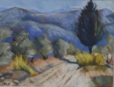 Carolyn White (1945-2013) pastel, 'Path To The Mountains Southern Turkey', initialled lower left and