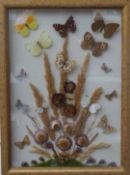 A framed and glazed taxidermy study of butterflies among dried flowers and grasses, 44 x 33cm