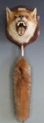 Taxidermy study of a fox mask and brush mounted on a wooden plaque 'caught December 2000'. total