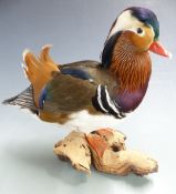 Taxidermy study of  a Mandarin duck mounted on a wooden base, H29cm