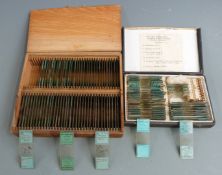 Two cases of microscope slides, approximately 100 in total, one set marked Voigt & Hochgesang