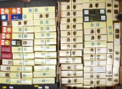 One-hundred-and-thirty-two Lledo Days Gone diecast model vehicles including Rupert, ProMotors etc,