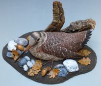 Michael Wood (Mike) woodcarving of a woodcock in a naturalistic setting, H16 x L33cm