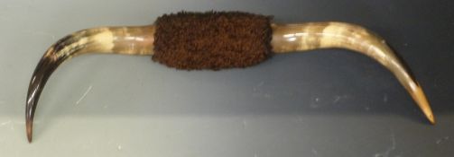 A pair of taxidermy American buffalo horns, width 80cm