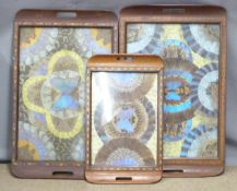 Three Butterfly wing trays, largest 62 x 38cm