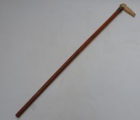 Victorian hallmarked silver mounted Malacca cane and deer horn walking stick, the silver collar in
