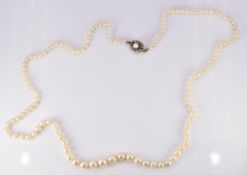 Victorian single strand of 129 natural pearls, the yellow metal clasp set with a pearl surrounded by
