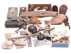 A large quantity of collectibles including a wide variety of seeds, natural specimens including