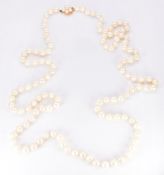 A single strand of cultured pearls, the 14k gold clasp set with a cluster of pearls