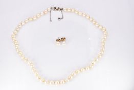 A strand of cultured pearls with a 9ct gold clasp and a pair of 9ct gold earrings set with a pearl
