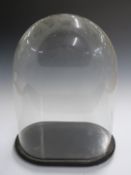 A 19th/20thC glass dome and base, possibly clock/ taxidermy use, W35 x D21 x H49cm