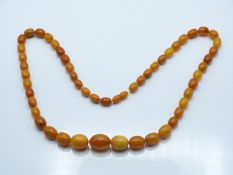 Baltic amber necklace made up of 26 graduated oval beads, weight 34g