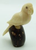 Model of a parrot carved from a nut, height 7cm
