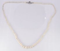 A single strand of pearls, the silver clasp set with a sapphire