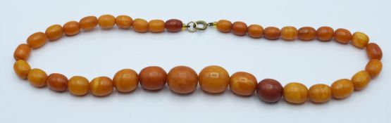 Baltic amber necklace made up of 35 graduated oval beads, 35g