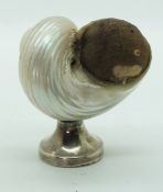 Shell pin cushion with hallmarked silver base, London 1908, maker's mark rubbed, height 6cm