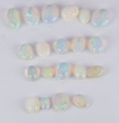 Twenty loose oval opal cabochons