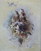M Campbell (British School) oil on canvas fledglings in a nest looking at butterflies, signed and