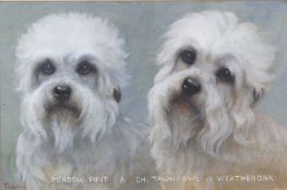 Fadelle gouache portrait of two Dandie Dinmont dogs, titled to lower edge Meadow Pipit & Ch Tawny