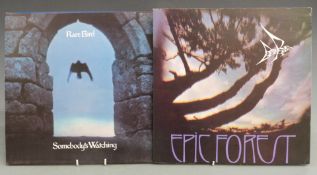 Rare Bird - Epic Forest (2442 101) includes single, Somebody's Watching (2383211), records and