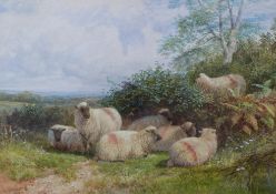 George Shalders (1826-1873) watercolour sheep amongst bracken, signed and dated 1865 lower left,