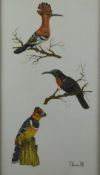 Acrylic on cloth of birds signed T Pearson 88 and a painting on a feather of a parrot, largest 50