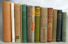 Ants by Derek Wragge Morley published Collins, New Naturalist series 1953 first edition in dust-