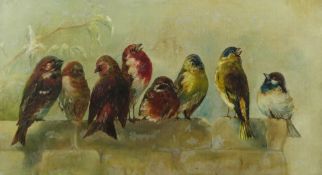 Attributed to M Campbell oil on canvas of birds on a wall, 24 x 44cm