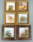Six framed porcelain plaques with hand-decoration of British birds by ex Royal Worcester artist N