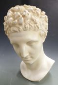 A large plaster bust in the classical style, height 48cm